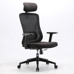 Silla de oficina ergonomica Kannia