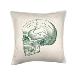 Cojin Craneo Anatomia - 45x45