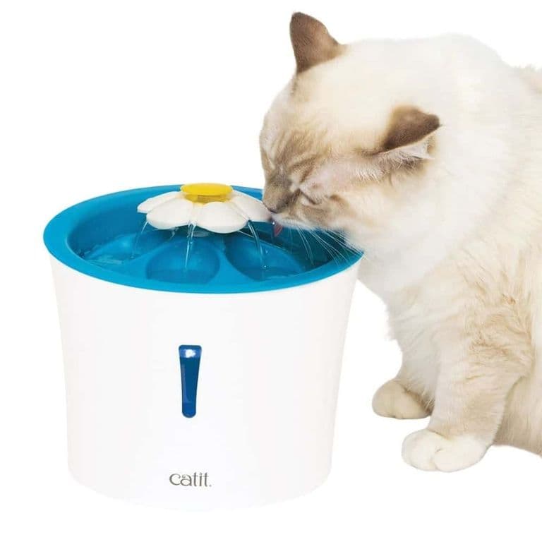 Fuente Bebedera Flor Led Para Gato 3Lts