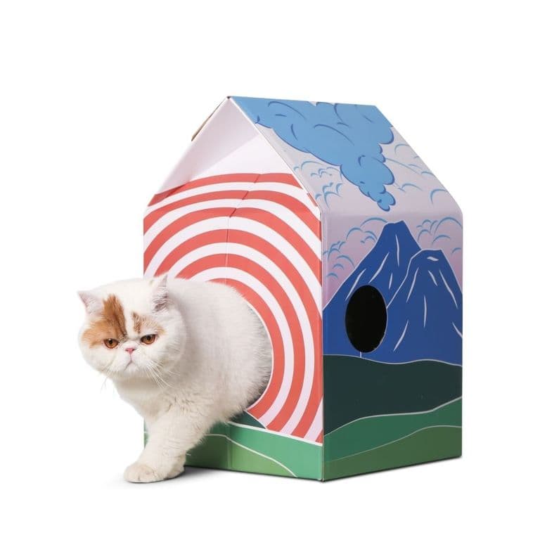 Pidan Rascador Para Gato Durable Y Divertido Antideslizante