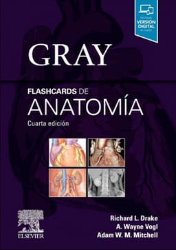 Libro Gray. Flashcards De Anatomia 4Ed.