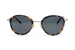 Lentes de Sol Belvedere Marron Polarizados Eyewear Cafe M