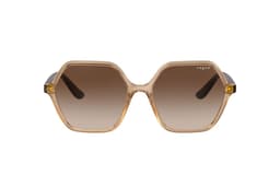 Lentes de Sol Marron Degrade Eyewear Cafe M