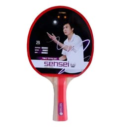 Paleta Ping Pong 2 Estrellas Tenis Mesa