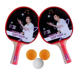 Set Ping Pong 2 Estrellas Goma Lisa 2 Paletas