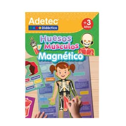 Laminas Magneticas Interactivas Huesos y Musculos