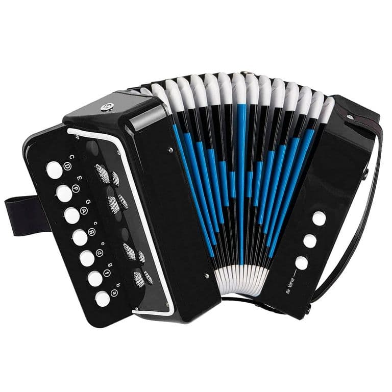 Acordeon De Nino 7 Teclas 2 Bajos Negro