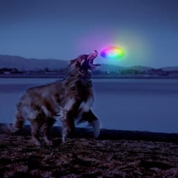 Disco volador Dog DiscuitTM LED - Disc-O