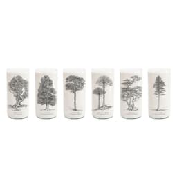 Juego de 6 Vasos Arboles de Chile
