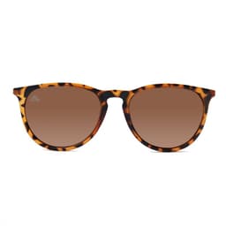 Lentes de Sol Wolf Tortoise GOLD uv 400 Cafe TALLA UNICA