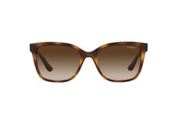 Lentes de Sol Dark Havana Eyewear Cafe M