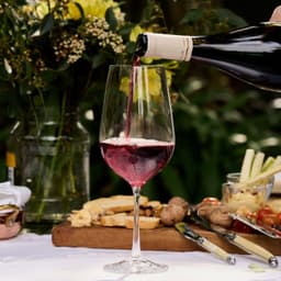 Set 6 Copas Vino Tinto 550 ml
