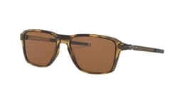 Lentes de sol Wheel House Cafe M