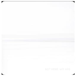 FOO FIGHTERS - BUT HERE WE ARE - VINILO