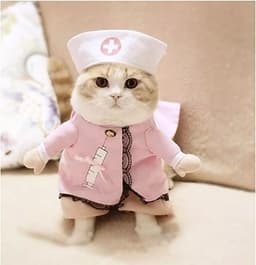 Disfraz De Enfermera Para Mascotas GatosRosado Talla M