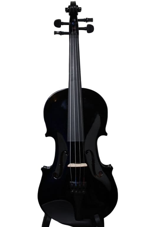 Violin Color Negro 1/2 LIV-27BK