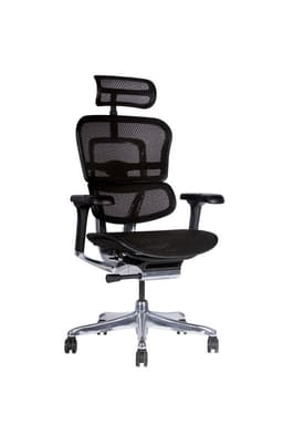 Silla ejecutiva escritorio Ergohuman malla Negra