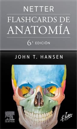 Libro Netter. Flashcards De Anatomia 6Ed.