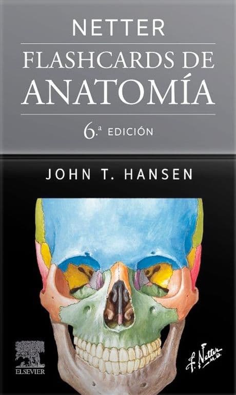 Libro Netter. Flashcards De Anatomia 6Ed.
