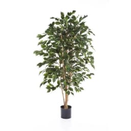 Planta Artificial Ficus Premium 120 cm. 630 hjs /