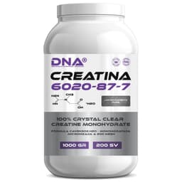 CREATINA DNA - ABSOLUTAMENTE PURA - POTE - 1KG ...