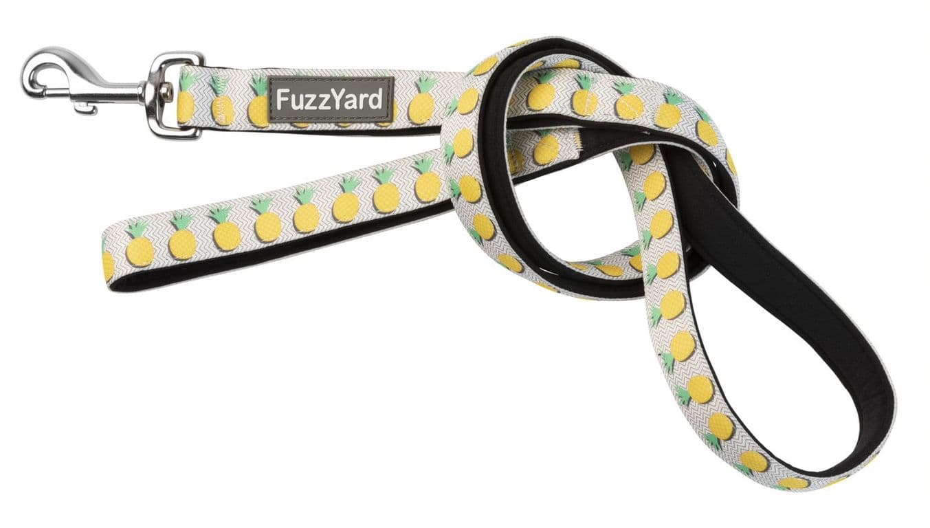 Correa Fuzzyard para perros PINA COLADA 1,4 mt