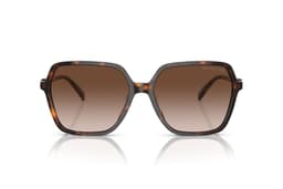 Lentes de Sol Jasper Havana Oscuro Degradado Marron M