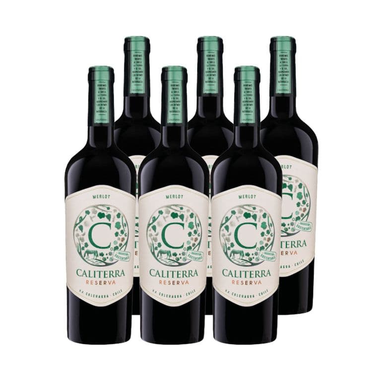 6x Vino Reserva Merlot 750cc