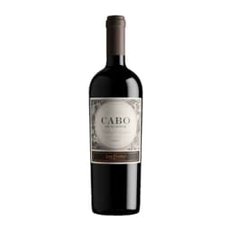 Vino Cabo de Hornos Cabernet Sauvignon 14.5 750cc