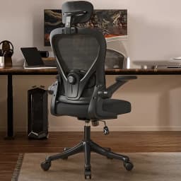 Silla Amia Ergonomica De Oficina Soporte Lumbar Ajustable Negro