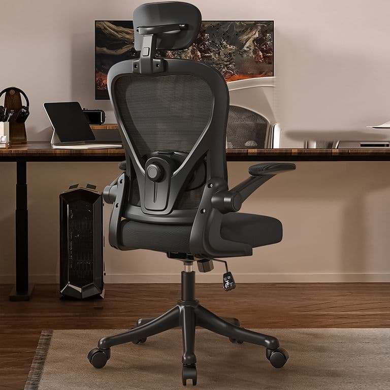 Silla Amia Ergonomica De Oficina Soporte Lumbar Ajustable Negro