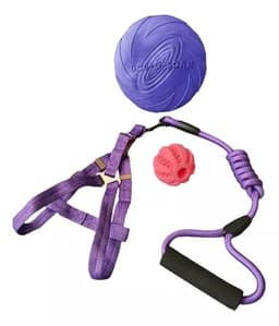 Set Arnes Cuerda Pelota Dental Frisbee Morado Perro Mascotas
