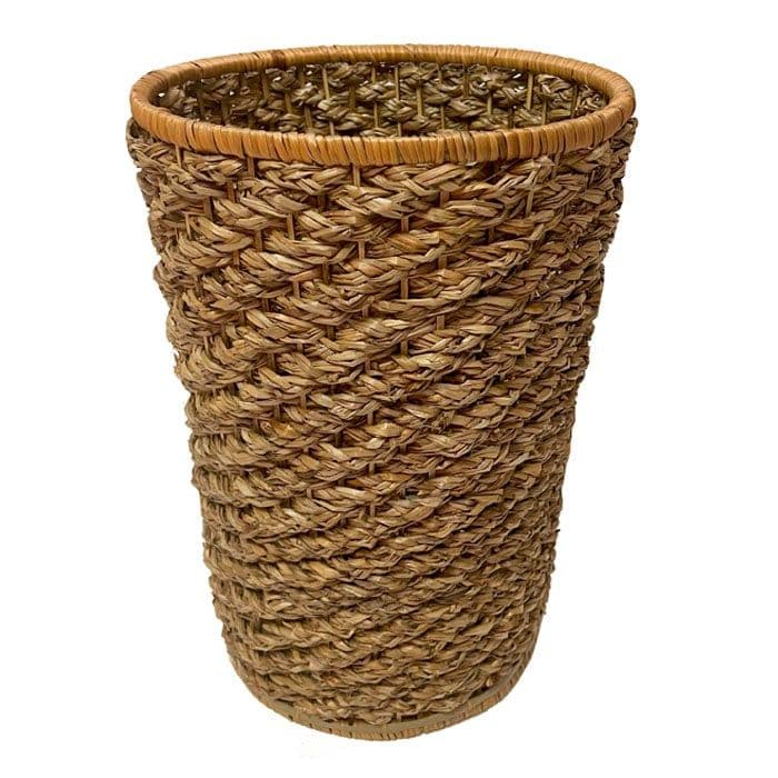 Paraguero o Florero Natural