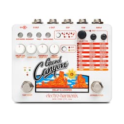 Pedal Delay/Looper Grand Canyon