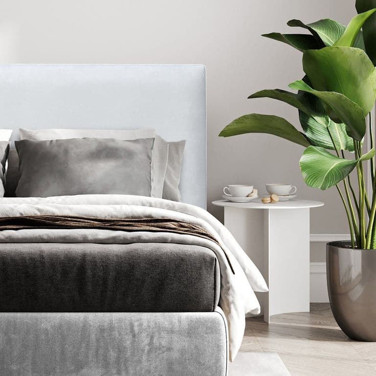 Respaldo de Cama Flat Vivo Felpa Crema - Super King