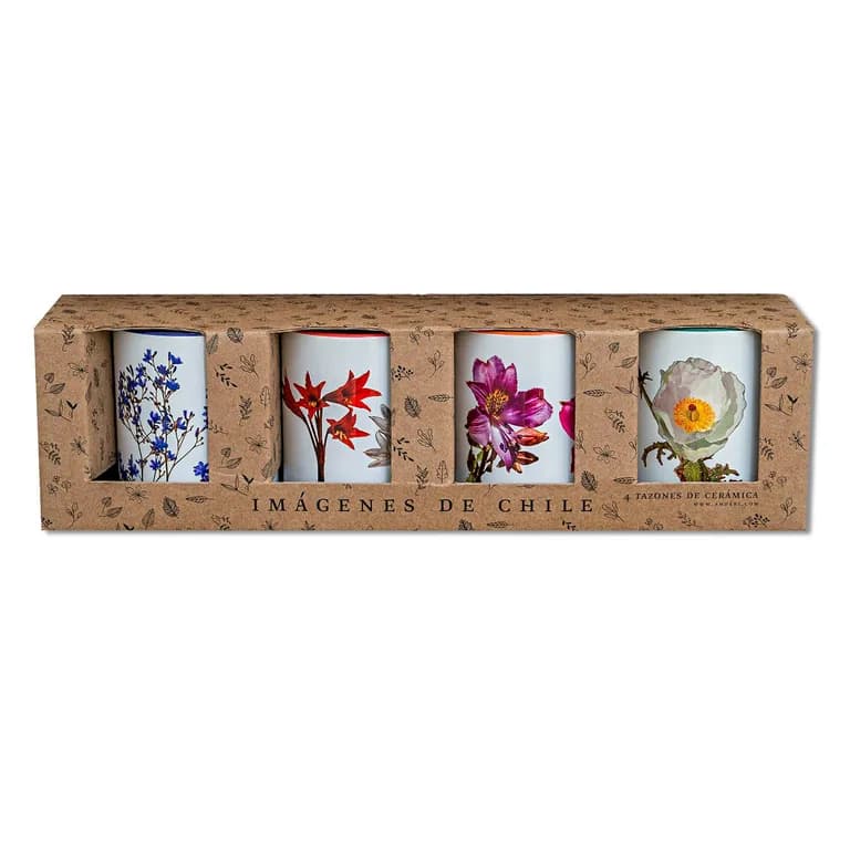 Set de 4 Tazones Flores del Desierto de Atacama N1