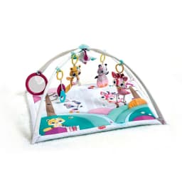Gimnasio Tiny Princess Tales Gymini Deluxe