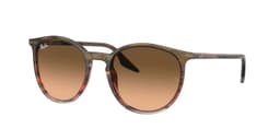 Ray-Ban RB2204 13953B 54 Negro TALLA UNICA