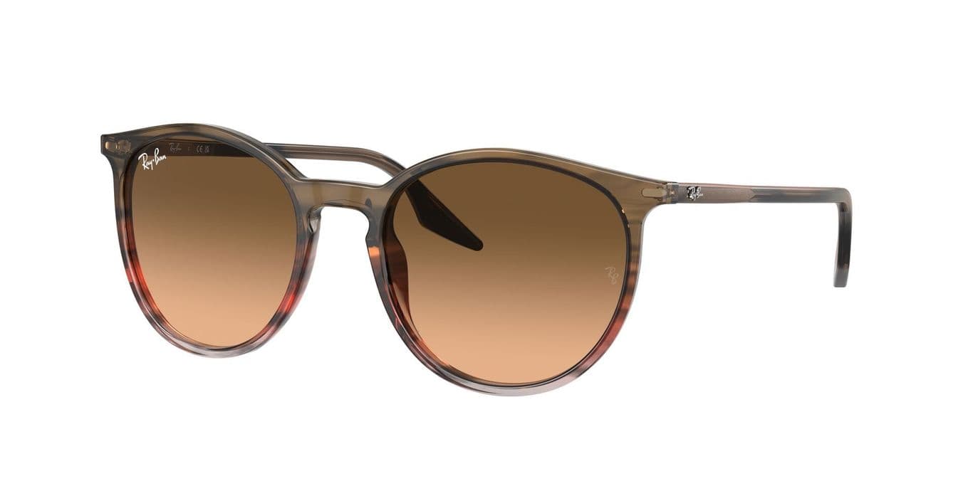 Ray-Ban RB2204 13953B 54 Negro TALLA UNICA