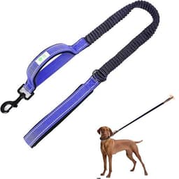 Correa Para Perros Elasticada anti-tirones