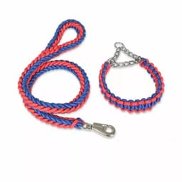 Correa Trenzada Para Perros Grandes + Collar De Ahorque XL