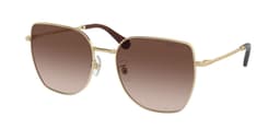 SK7021D 400213 59 Cafe TALLA UNICA