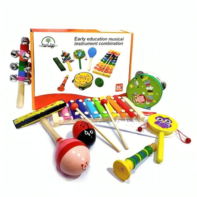 Set 8 Instrumento Musicales Montessori