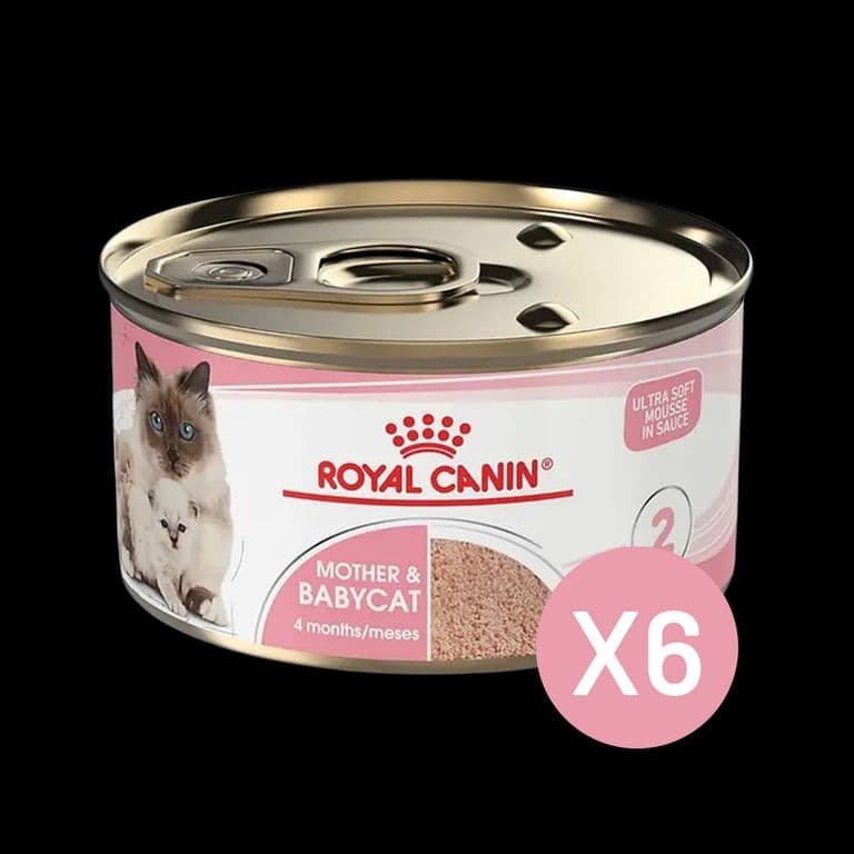 Mother And Babycat Lata 145gr - Pack 6 Latas