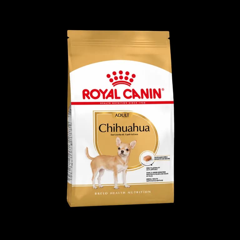 Perro Raza Chihuahua Adulto 1kg