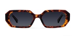 LENTES DE SOL POLARIZADOS - ESI TIGRIS CARBON Marron TALLA UNICA
