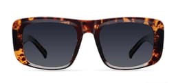 LENTES DE SOL - DELU TIGRIS CARBON Marron TALLA UNICA