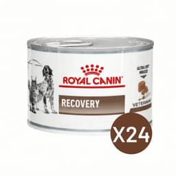 Recovery 145g Perro Gato Pack 24 Latas