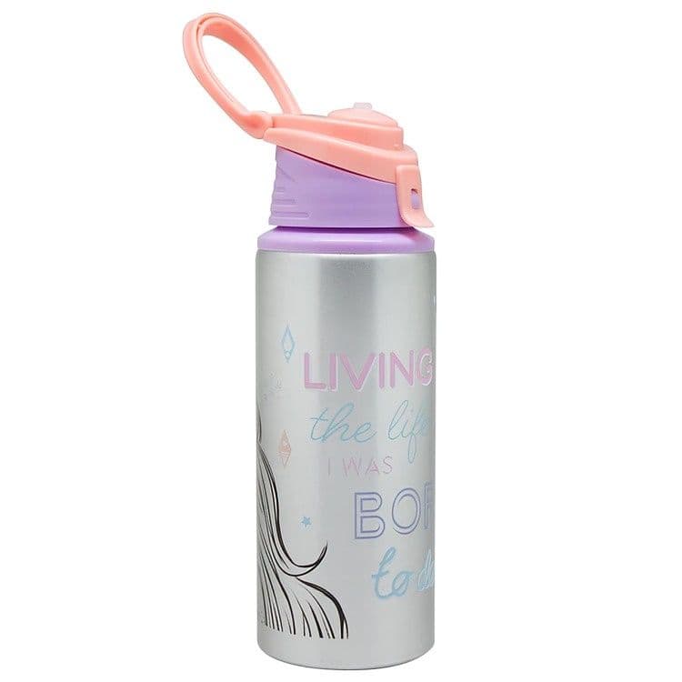 Botella Metalica 500ml Licencias Frozen