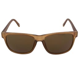 Lentes de Sol x80101 Hombre Cafe TALLA UNICA